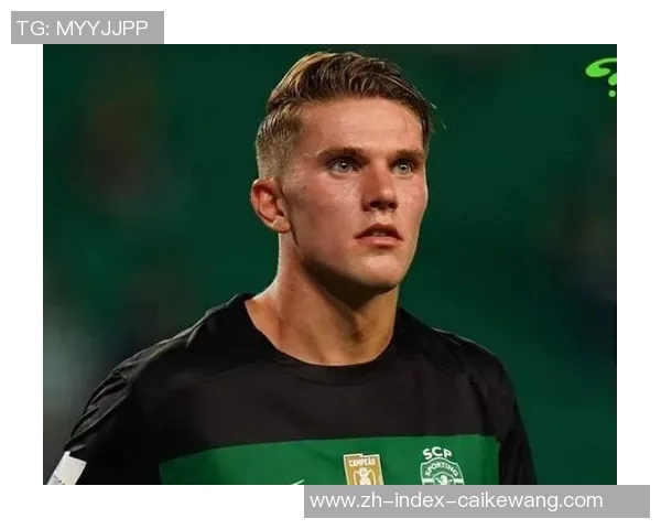 曝哲凯赖什接近加盟阿森纳曼联出资3000万镑争夺新凯恩